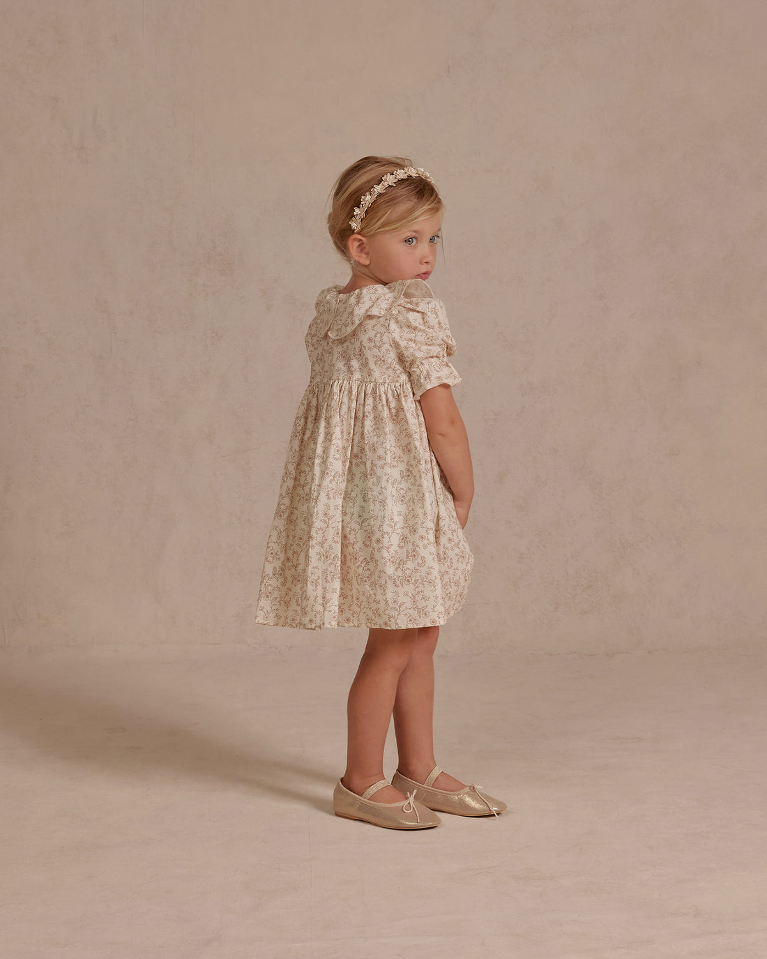 Noralee Cafe Toile Joannie Dress