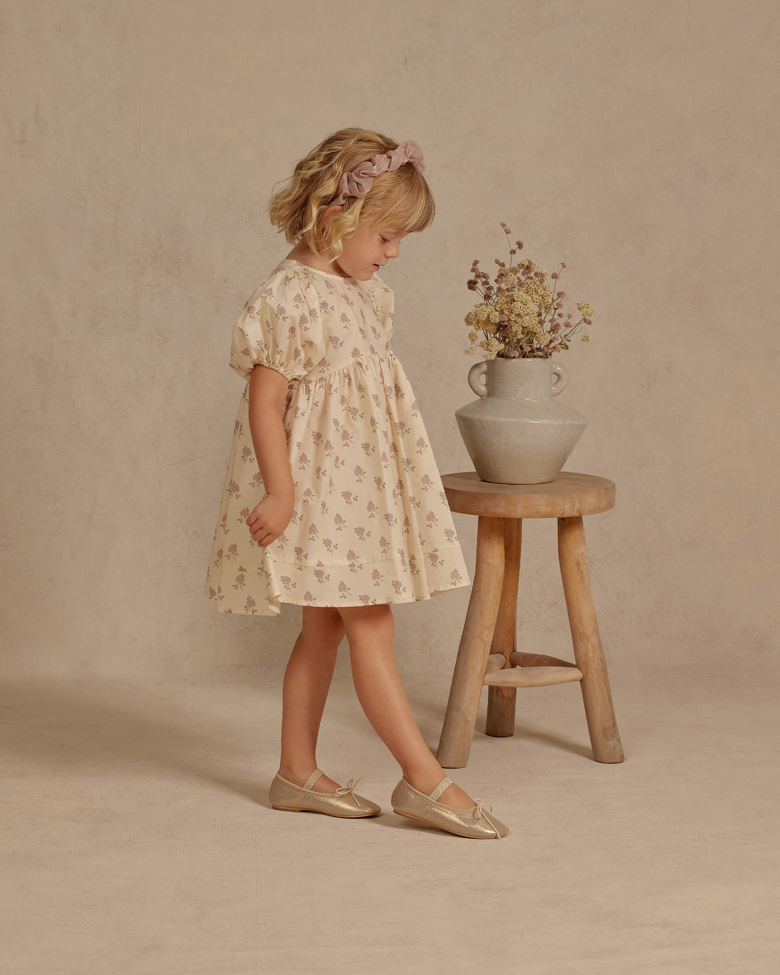 Noralee Vintage Rose Luna Dress