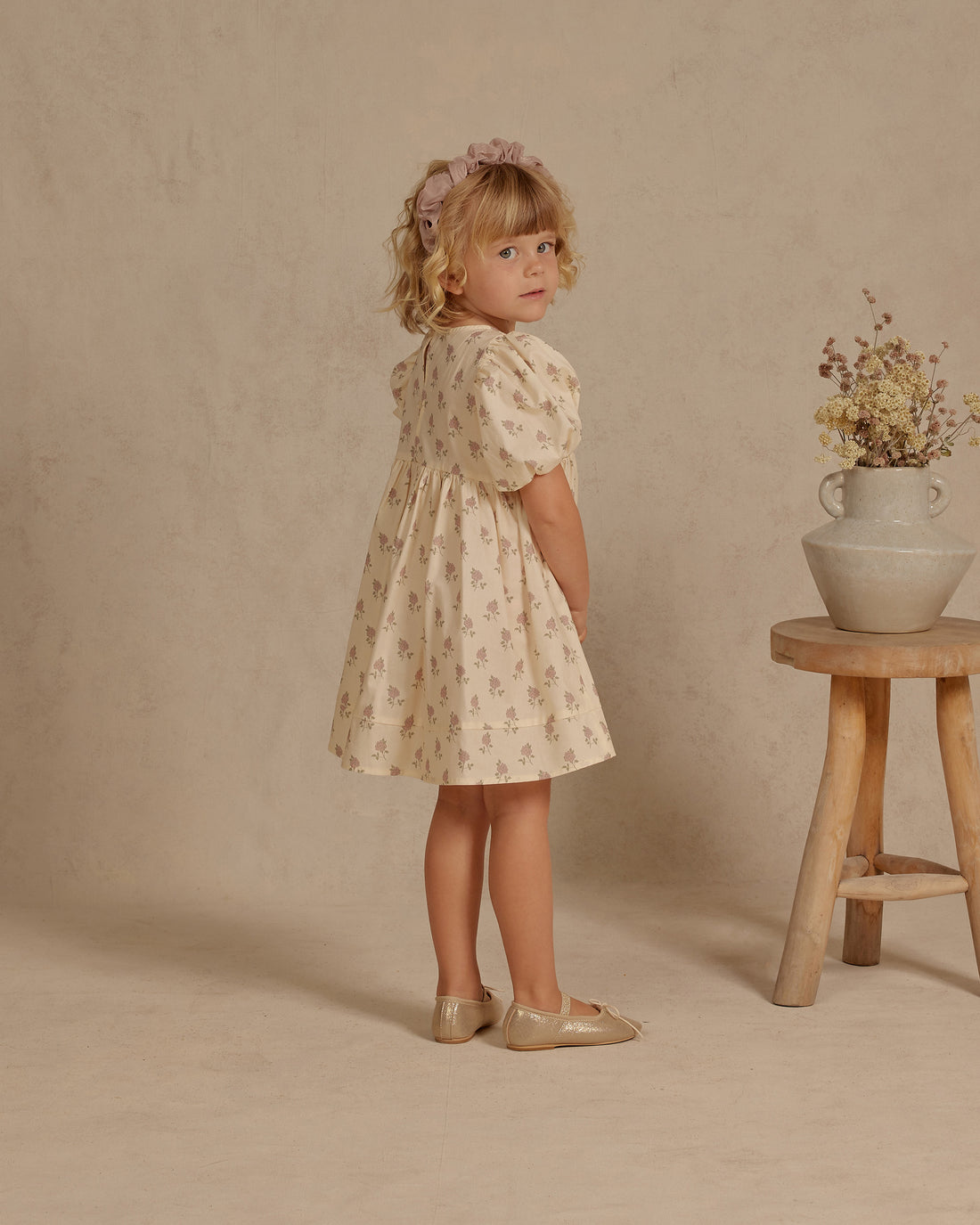 Noralee Vintage Rose Luna Dress