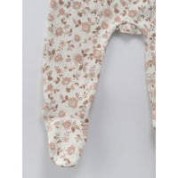 Louisiella Newborn Protea set
