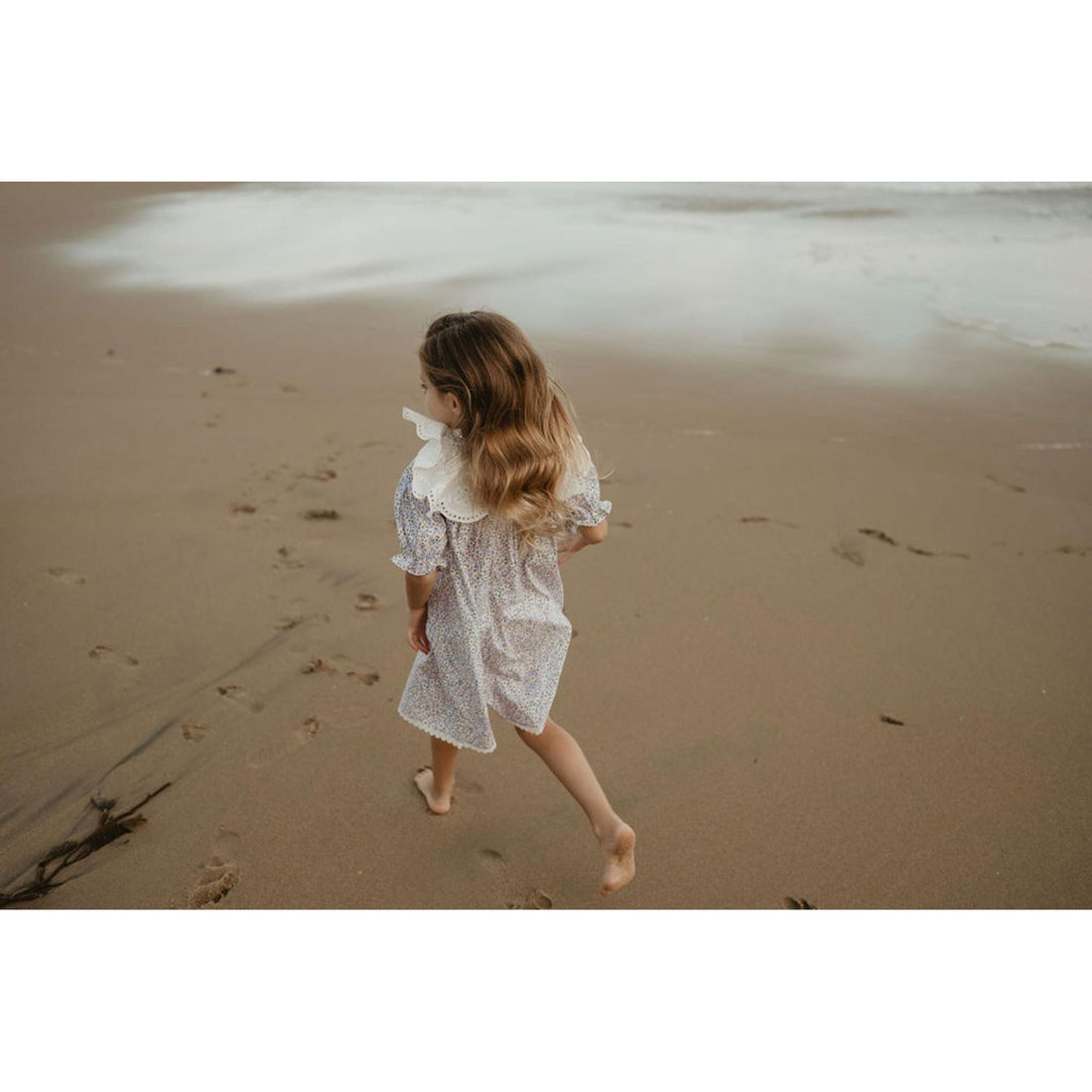 Petite Hailey Purple Collar Dress