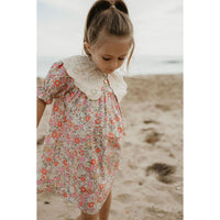 Petite Hailey White Collar Dress