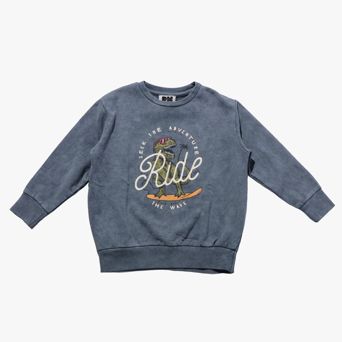 Petite Hailey Vintage Blue Acid Washing Sweatshirts