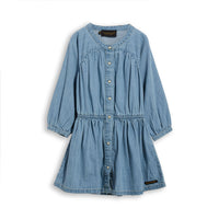 Finger in the Nose Bleached Blue Roselake Dress