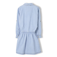 Finger in the Nose Bleached Blue Roseville Dress