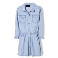 Finger in the Nose Bleached Blue Roseville Dress