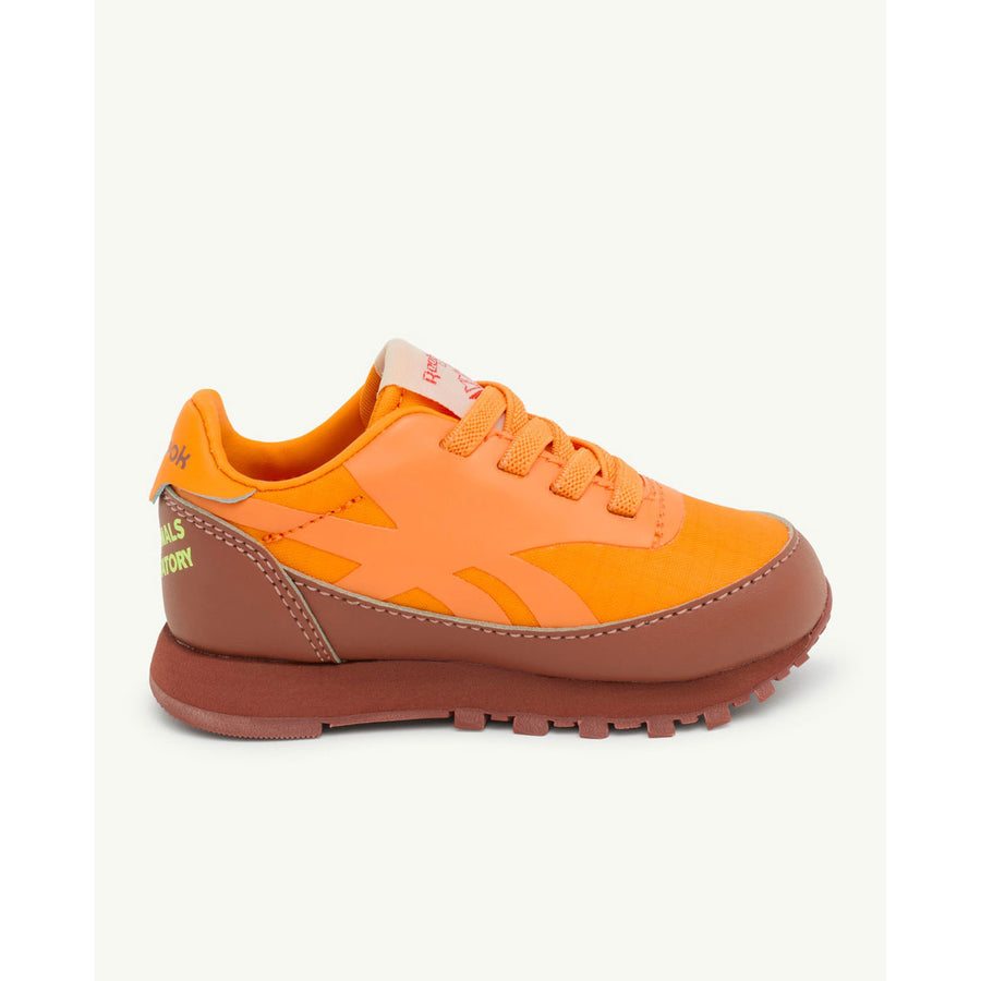 The Animals Observatory x Reebok Classic Leather Kids Sneakers - Brown