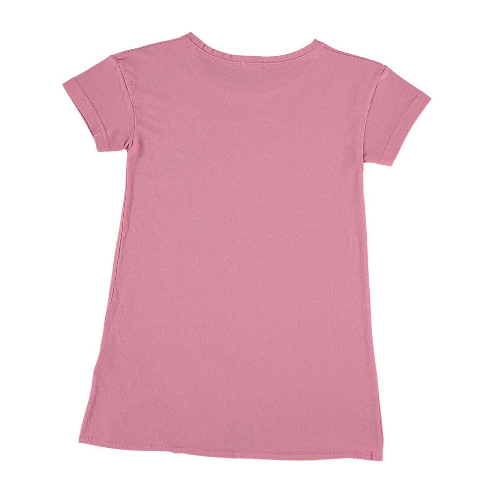 Picnik Pink Bon Voyage Marta Dress