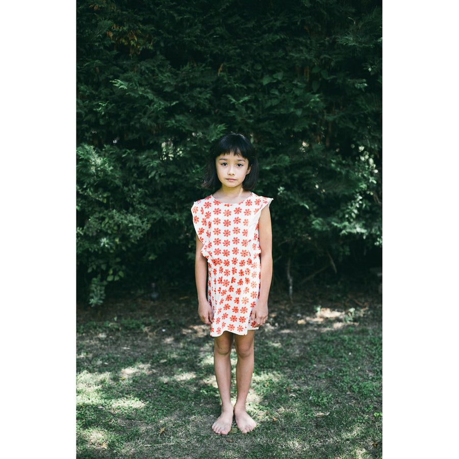 Picnik Flowers Lola Dress