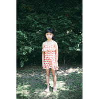 Picnik Grey Flowers Kate Linen Dress