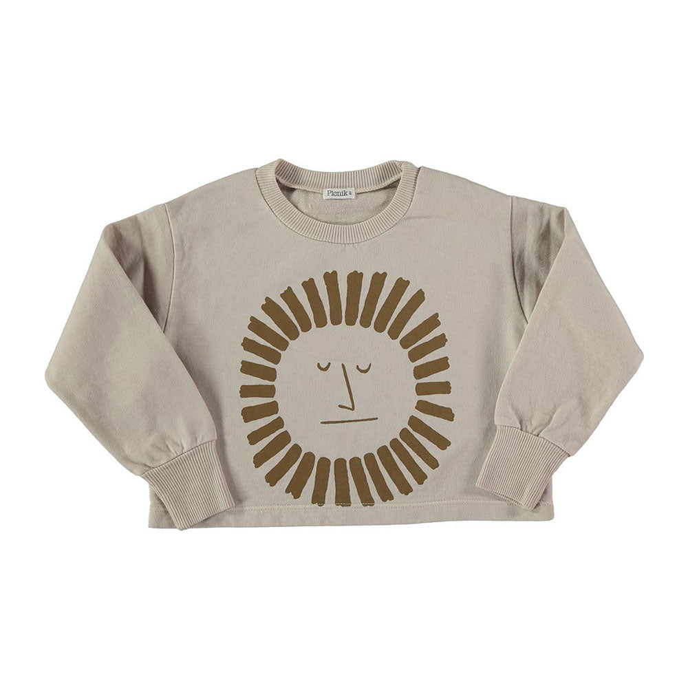 Picnik Grey Sun Cropped Sweatshirt