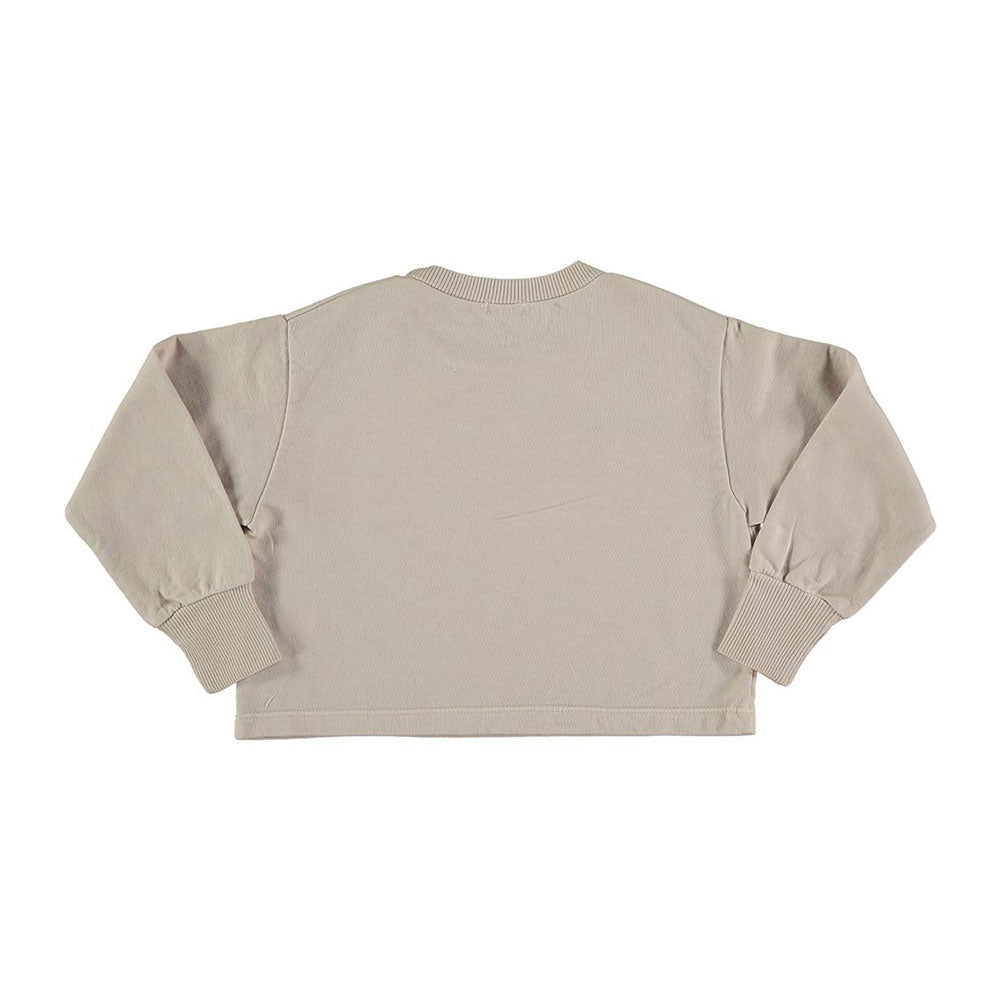 Picnik Grey Sun Cropped Sweatshirt