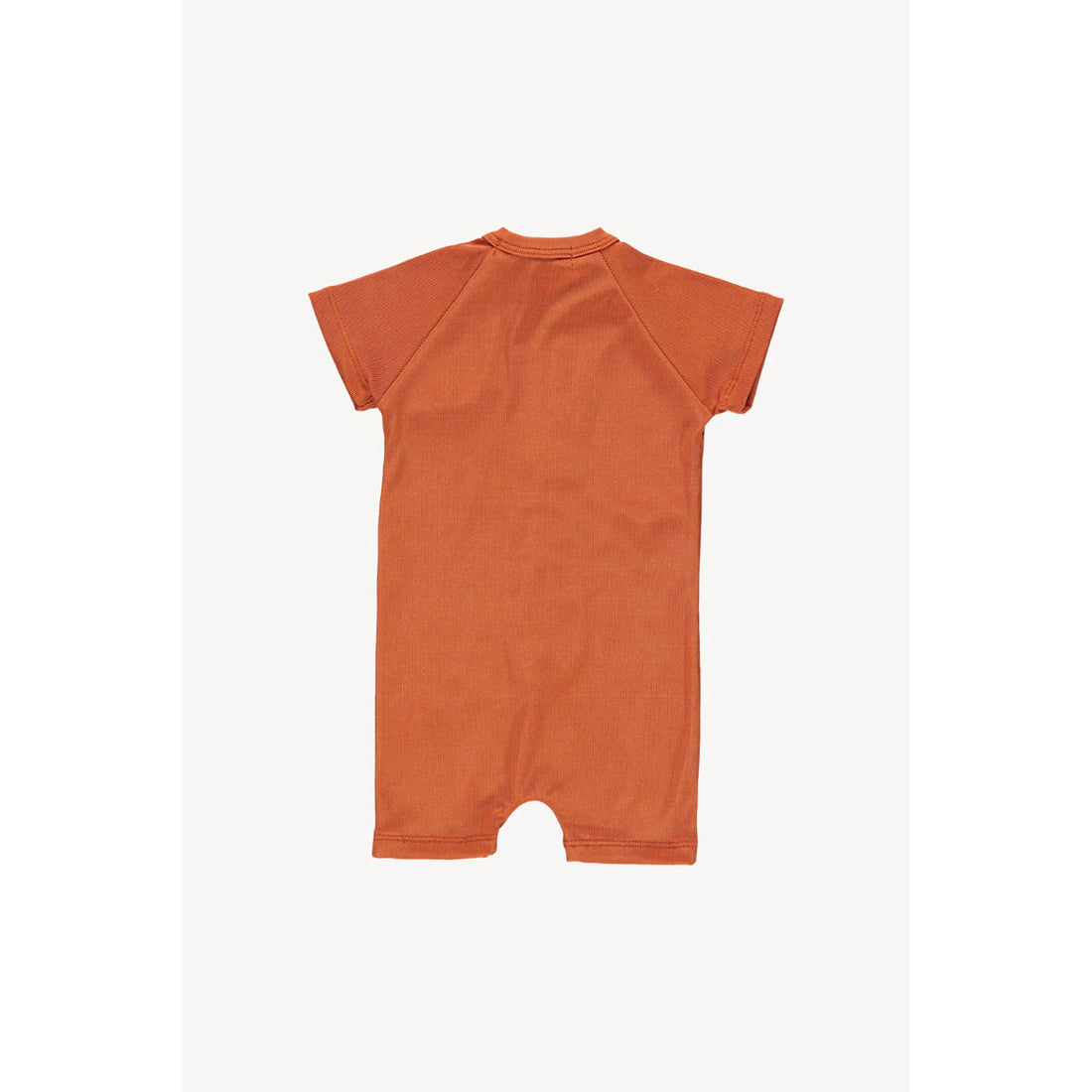 Fin and Vince Terracotta Ribbed Onepiece Swimmer