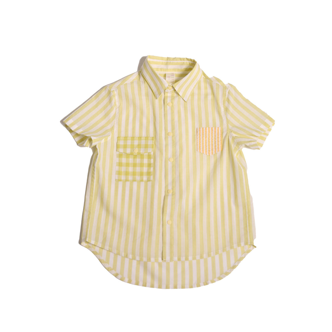 Tia Cibani Aloe Mix Rafael Multi-Snap Shirt