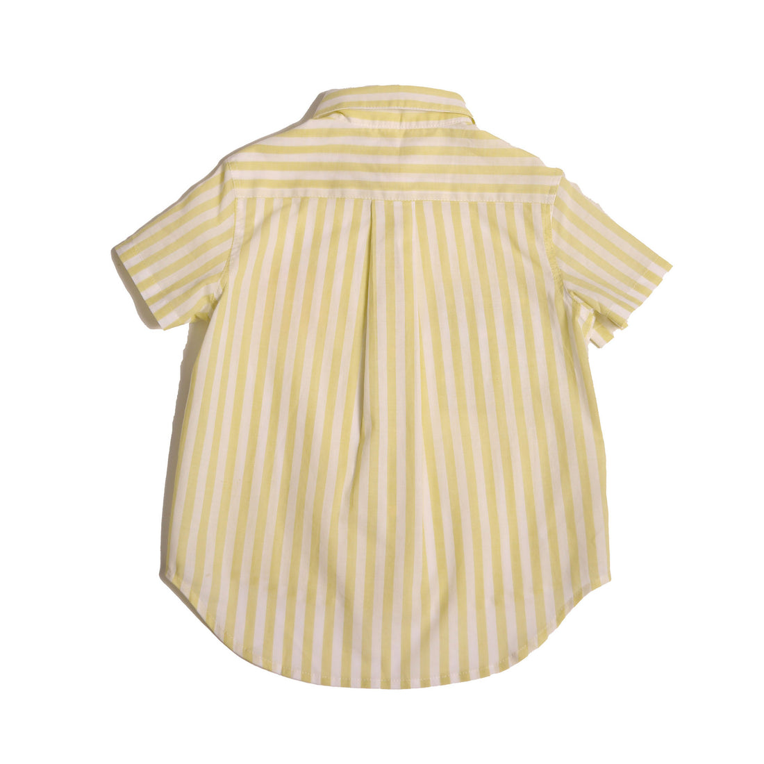 Tia Cibani Aloe Mix Rafael Multi-Snap Shirt