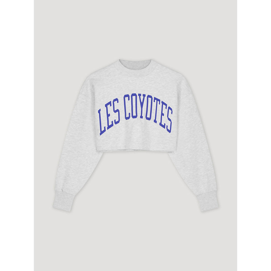 Les Coyotes De Paris Grey Melange Large Logo Cropped Sweatshirt