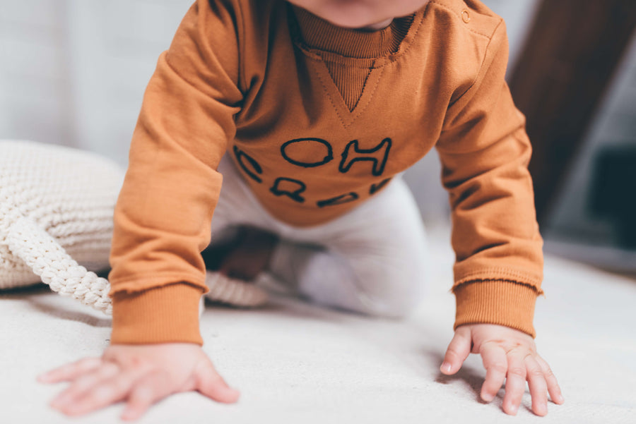 Sproet and Sprout Oh Crab Sweater