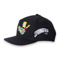 Finger in the Nose Black Bart Skate Cap