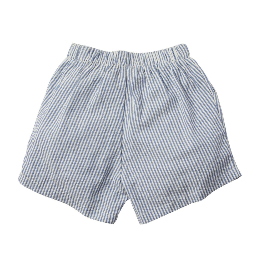 Bonheur du Jour Blue Stripes Surfer Shorts