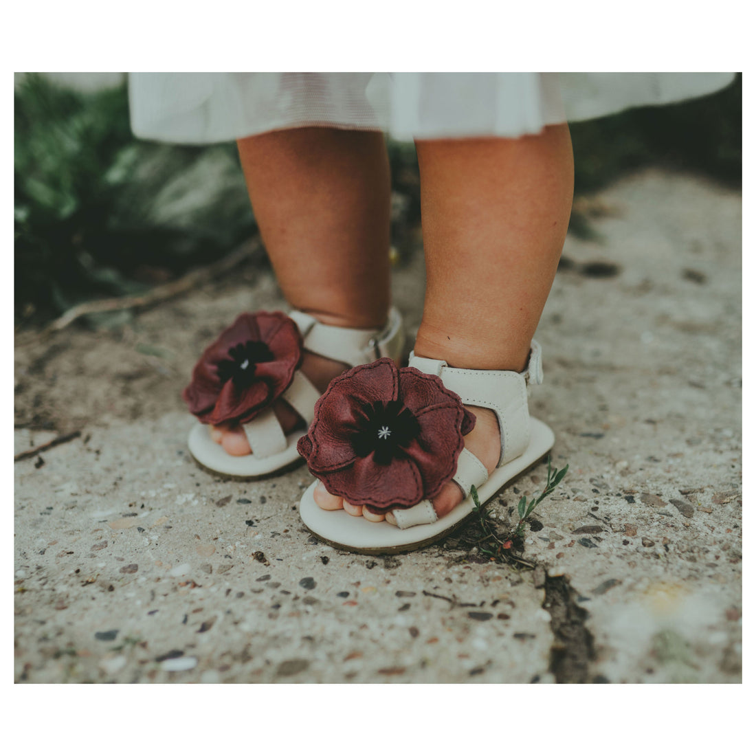 Donsje Cream Leather Poppy Baby Sandals