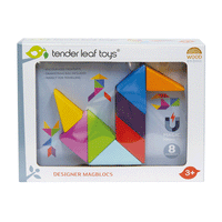 Tender Leaf Toys Designer Magblocs