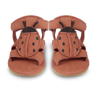 Donsje Walnut Nubuck Lady Bird Baby Sandals