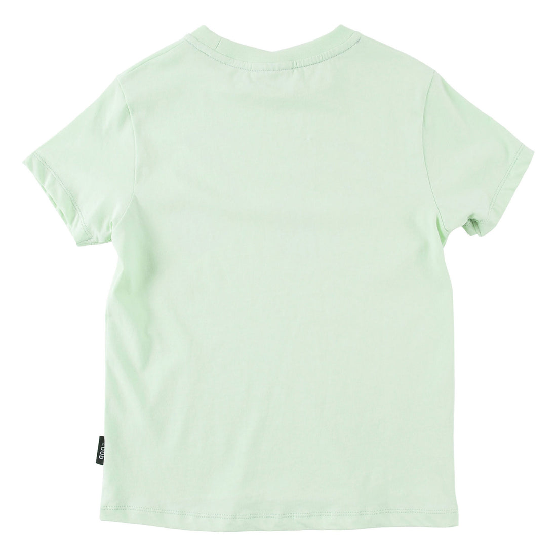 Loud Pastel Green Beginning Regular Fit T-Shirt
