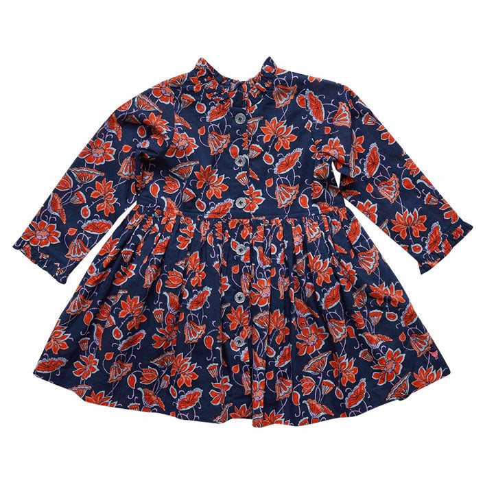Pink Chicken Autumn Dress - Blue Stem Floral