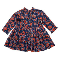 Pink Chicken Autumn Dress - Blue Stem Floral