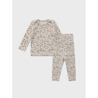 Louisiella Baby Protea set