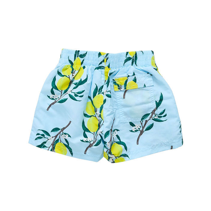 Pink Chicken Swim Trunks - Lemon Branch