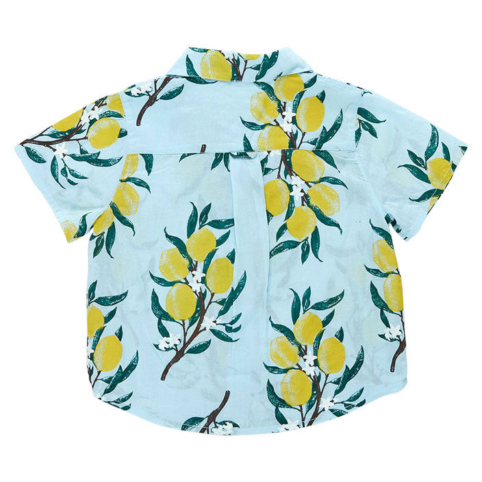Pink Chicken Boys Jack Shirt - Lemon Branch