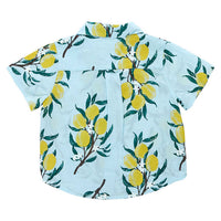 Pink Chicken Boys Jack Shirt - Lemon Branch