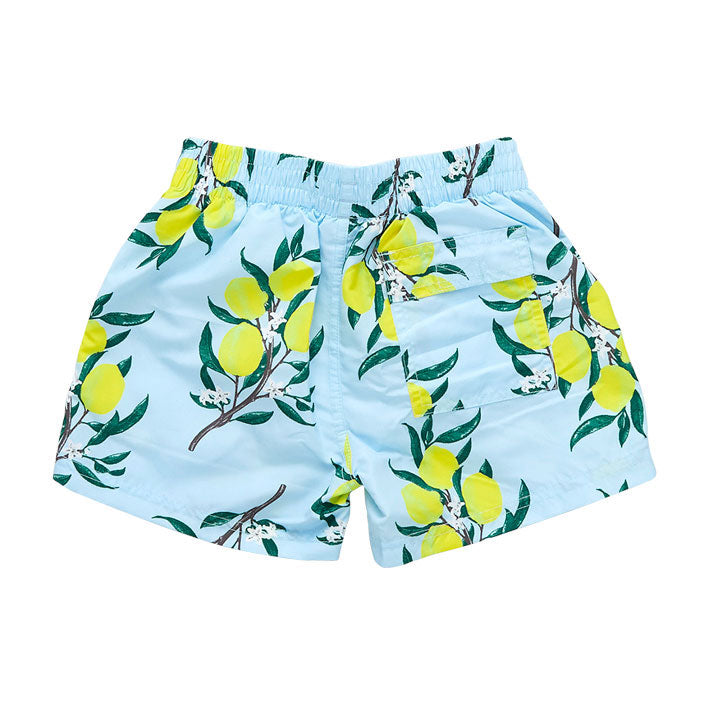 Pink Chicken Swim Trunks - Lemon Branch