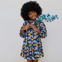 Pink Chicken Brayden Dress - Folk Bird