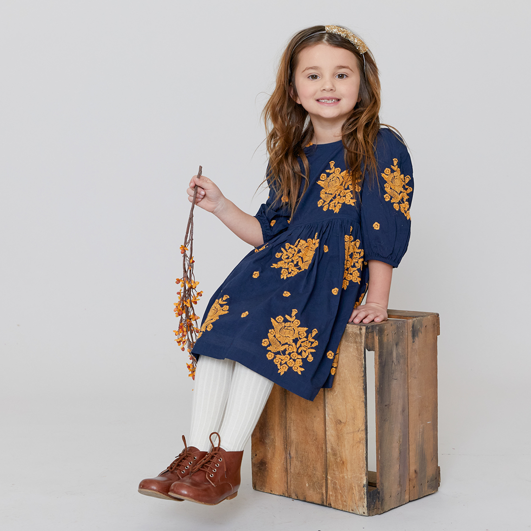 Pink Chicken Brooke Dress - Navy Embroidery