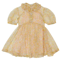 Caramel dresses Caramel Betsy Angelica Party Dress