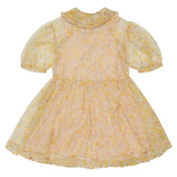 Caramel dresses Caramel Betsy Angelica Party Dress