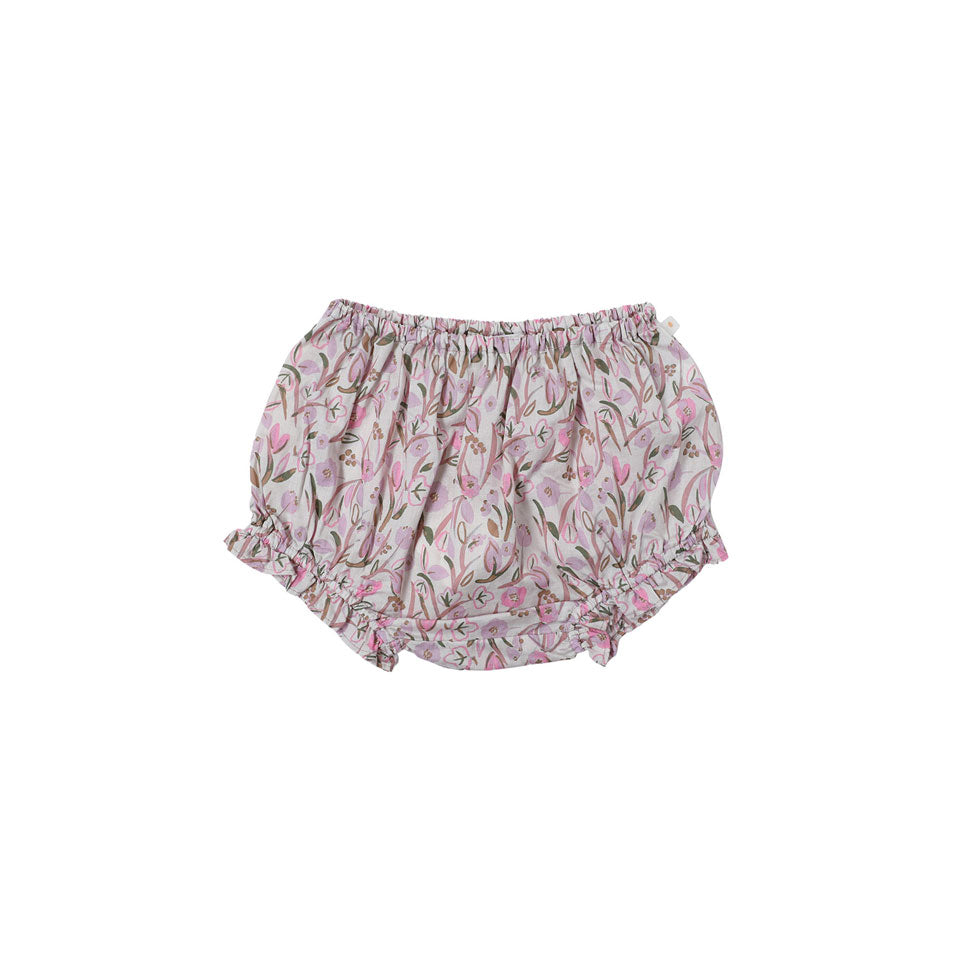 Bene Bene  Lavender Lycoris Bloomers