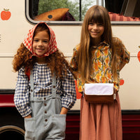 Sticky Lemon Chocolate Sundae/Daisy Yellow/Mauve Lilac Gingham Small Fannypack