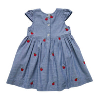 Pink Chicken Eden Dress - Apple Embroidery