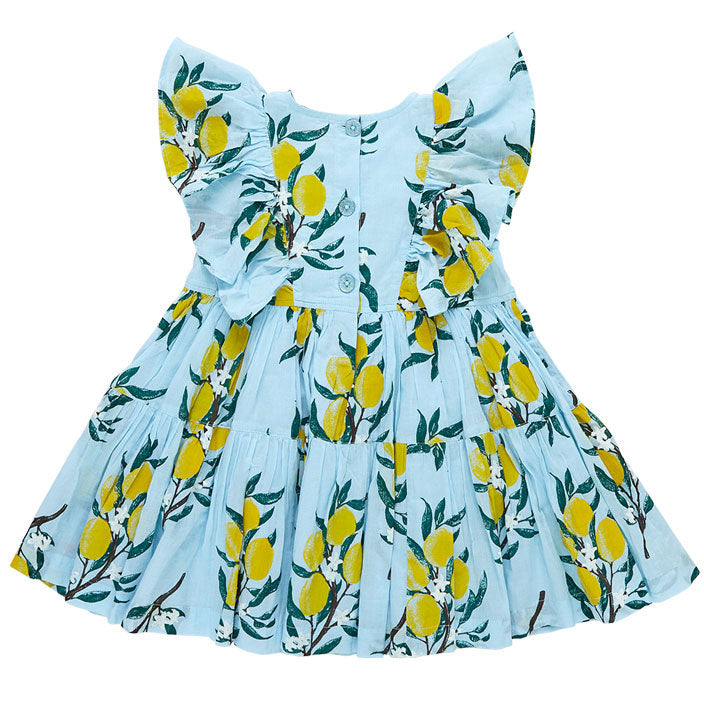 Pink Chicken Raphaela Dress - Lemon Branch