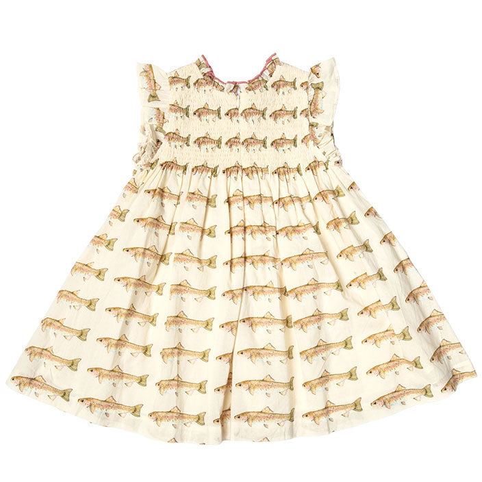 Pink Chicken Stevie Dress - Rainbow Trout
