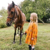Pink Chicken Brayden Dress - Gold Field Floral