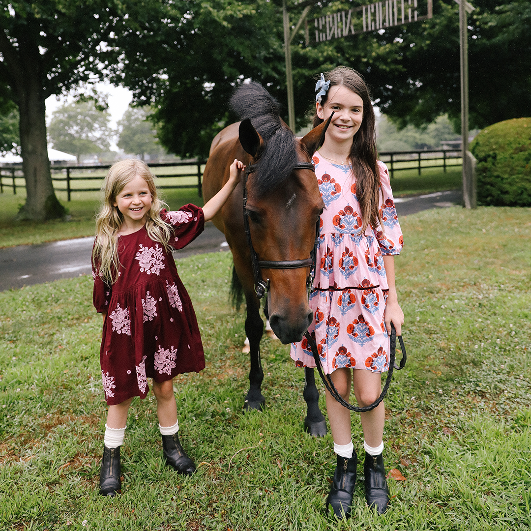 Pink Chicken Brooke Dress - Burgundy Embroidery