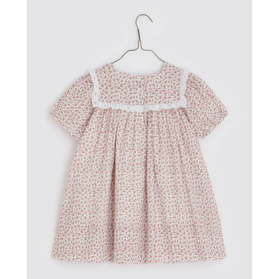 Little Cotton Clothes dresses Little Cotton Clothes Amelie Dress - Anemone Floral in Rose