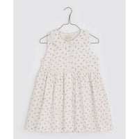 Little Cotton Clothes dresses Little Cotton Clothes Maggie Dress - Rose Bud Floral