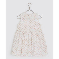 Little Cotton Clothes dresses Little Cotton Clothes Maggie Dress - Rose Bud Floral