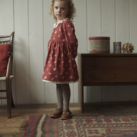 Little Cotton Clothes Audrey Dress - Winter Jasmine Floral
