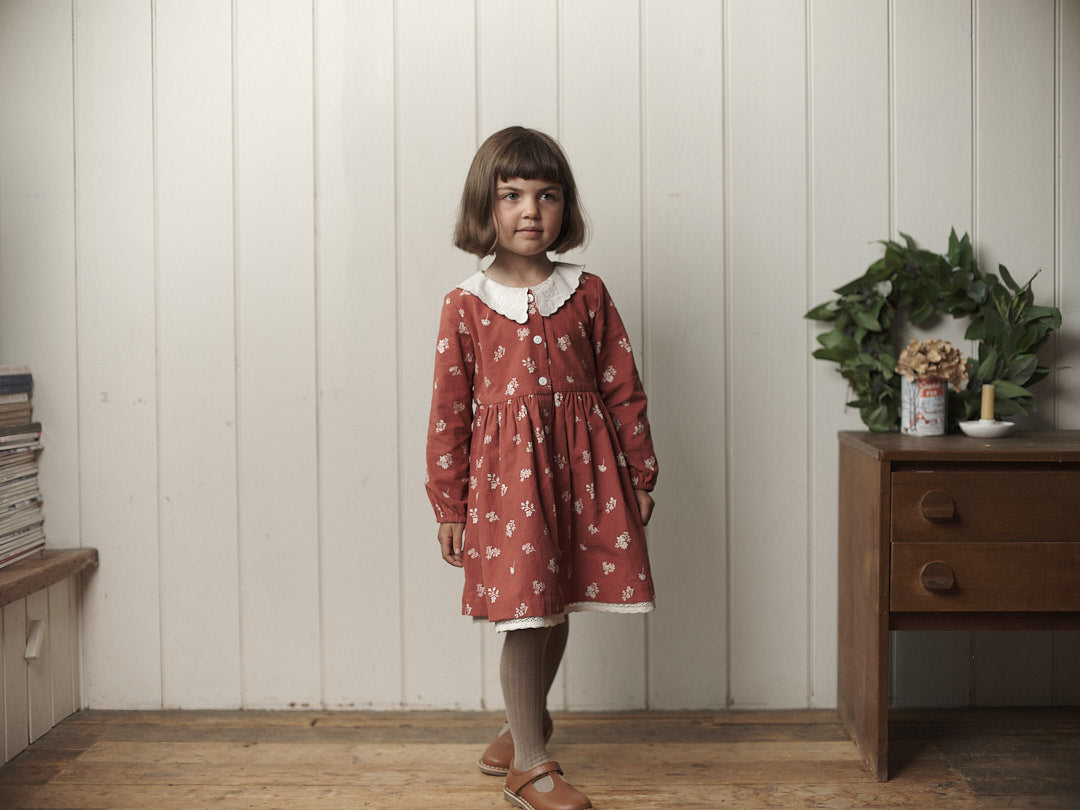 Little Cotton Clothes Audrey Dress - Winter Jasmine Floral